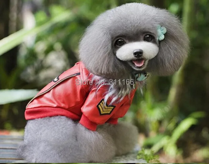 Супер собака одежда воздушный сила костюм собака куртка мех воротник домашнее животное собака одежда cat собака пальто