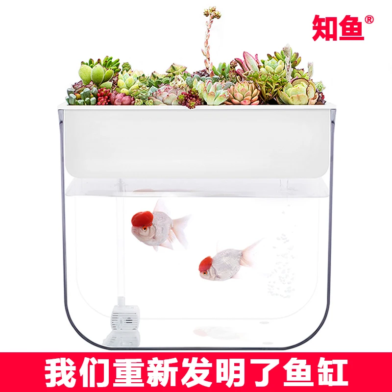 Ультрапрозрачная пластиковая аквариумная рыбка Betta, настольная аквариумная рыбка AquaView, экологический аквариум для украшения помещений