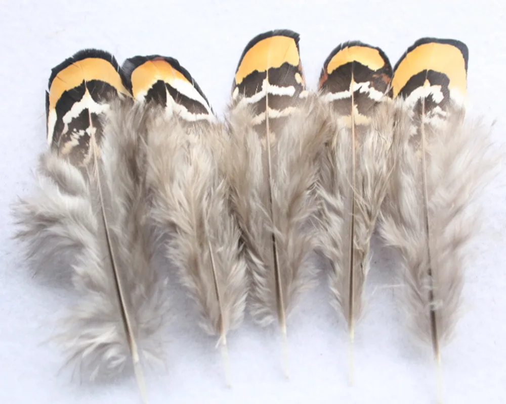Hot Selling 50 PCS/lot Natural color 5 10cm beautiful pheasant feathers
