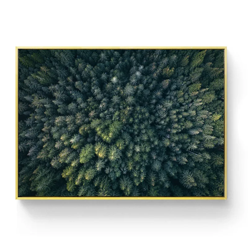  (1) 