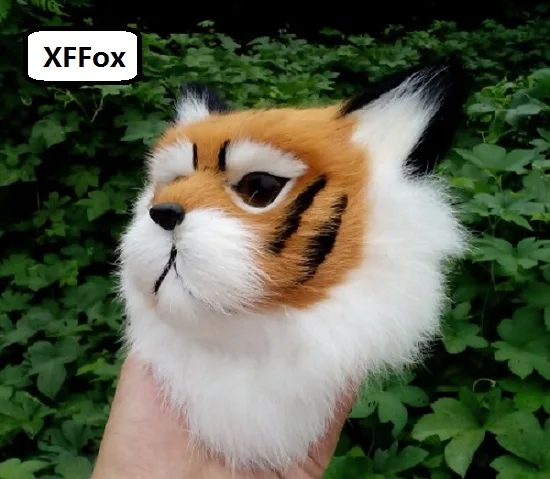 HTB1SFhhPVXXXXXTapXXq6xXFXXXY