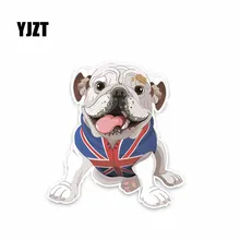 YJZT 11,1*11,7 см, собака, животные, творческие Фотообои