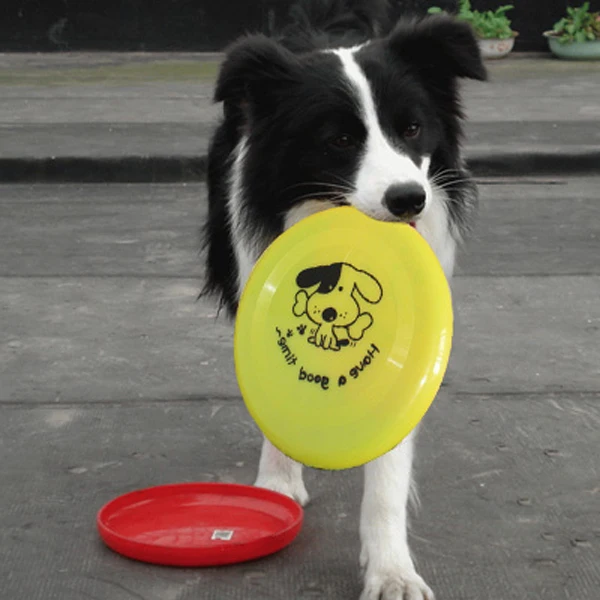 

Trainning Puppy Flying Disc Frisby large dog Toy Plastic Fetch AA
