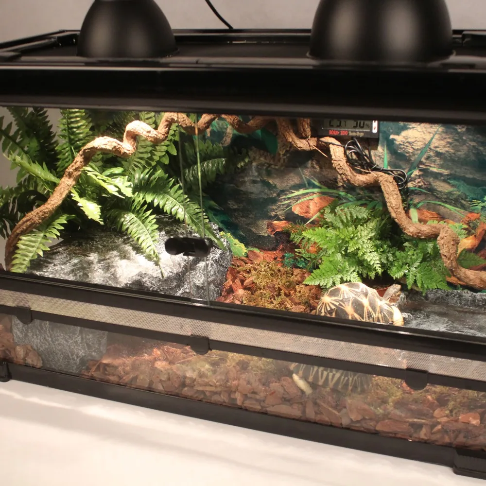 Reptile Tank Kit with Wire Mesh Lid 