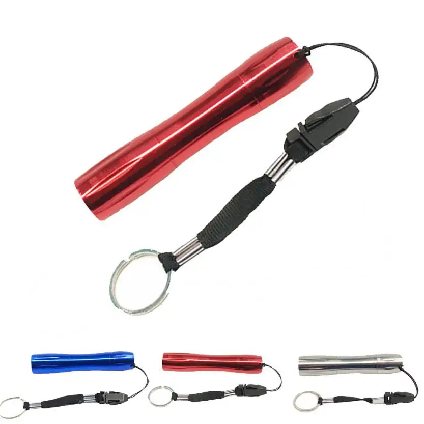

2018 1 W LED Mini Hard Light Small Key Chain Flashlight Torch Medical Outside Free Shipping JA10