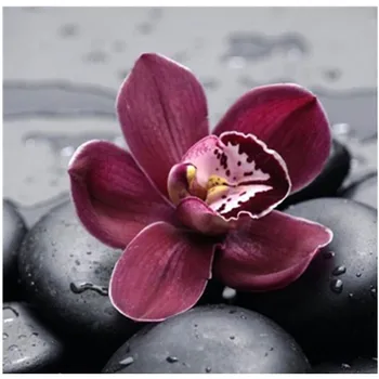 

Painting By Numbers DIY Dropshipping 40x50 50x65cm Small flowers on the stone Flower Canvas Wedding Decoration Art picture Gift