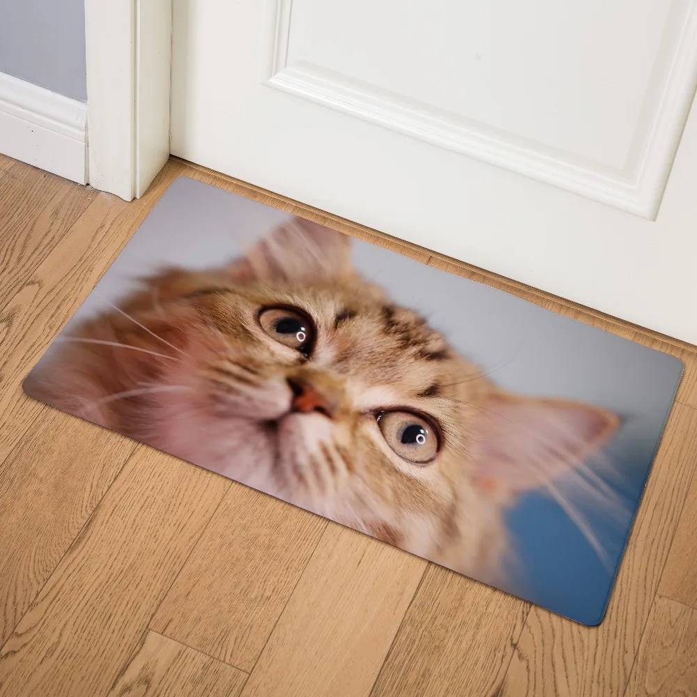 Милый животный Кот передняя дверь коврик для кухни гостиная прихожая вход в ванную комнату Придверный коврик нескользящий коврик 46x75 см