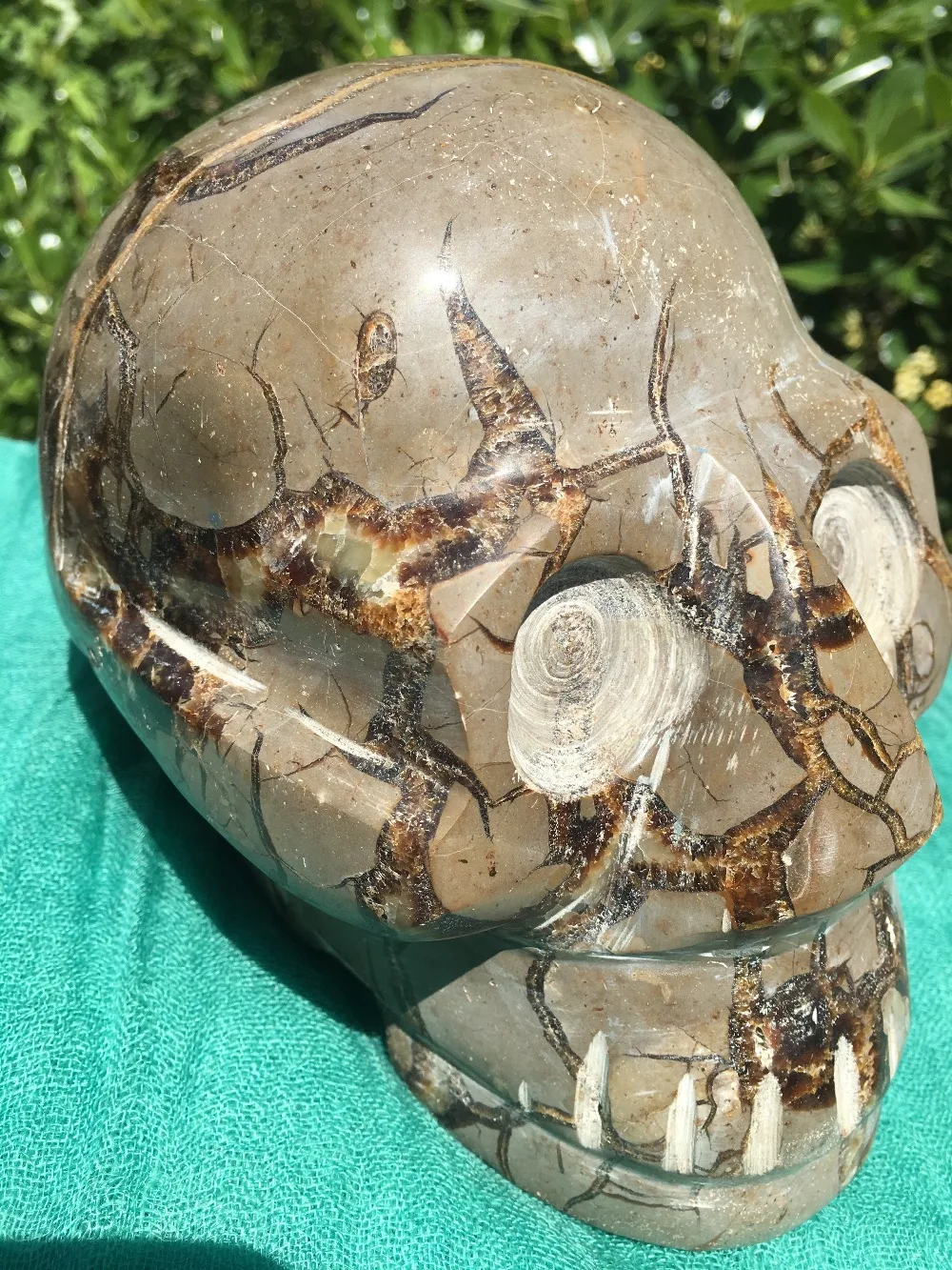 

7.92lb Natural RARE septarian nodule QUARTZ CRYSTAL skull HEALING