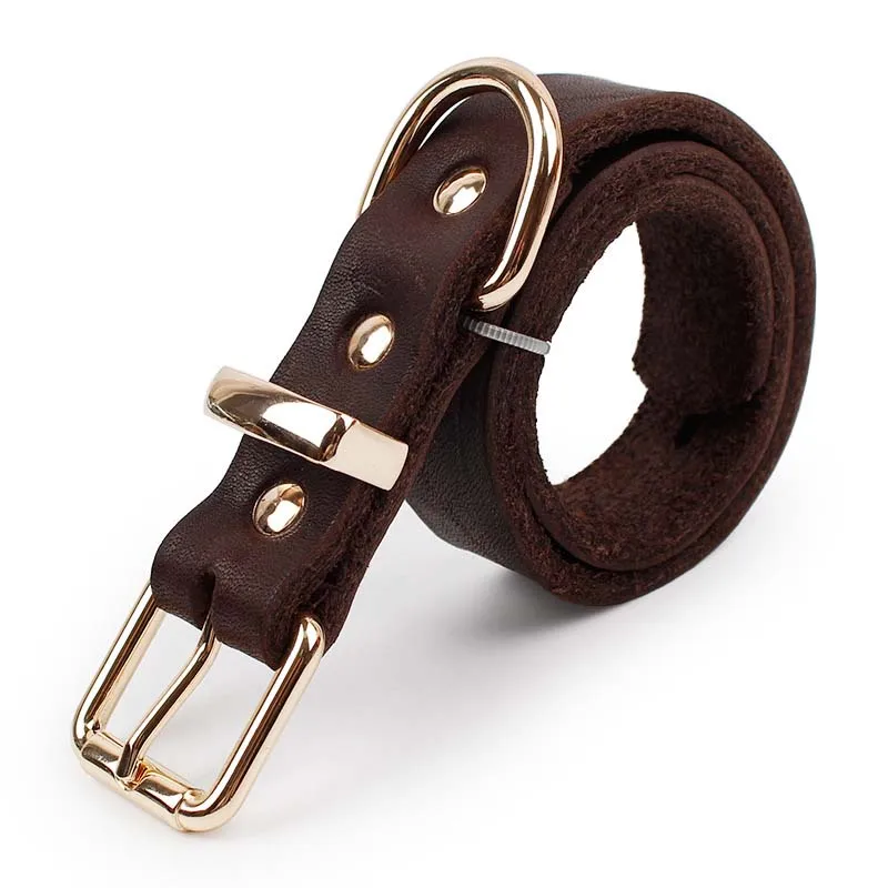 SYDZSW Top Grade Leather Dog Collar Pet Leads Alloy Buckle Labrador German Shepherd Dog Collar Lrage Dog Products 2.556cm5