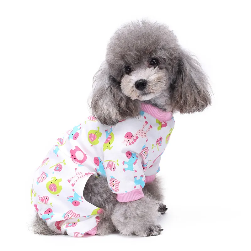 Dog_2443