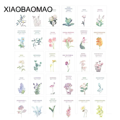 30 шт. милый ручной росписью цветы растение девушка поздравительные открытки день рождения письмо деловая подарочная карта набор открытка для сообщений XLG933