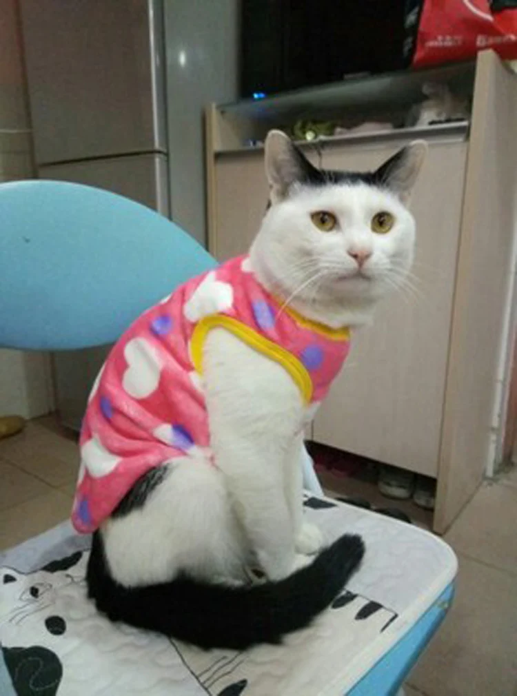 TB2XL1roMDD8KJjy0FdXXcjvXXa_!!0-rate.jpg_400x400