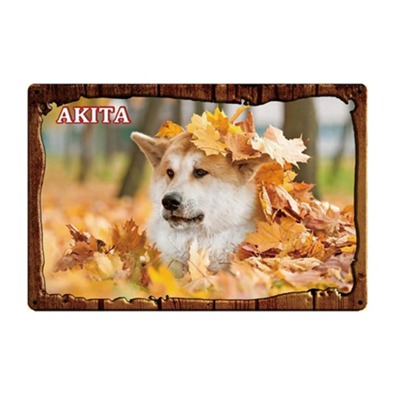 [ Kelly66 ] Pet Dog Akita Terrier Afghan Hound Basenji Metal Sign Tin Poster Home Decor Bar Wall Art Painting 20*30 CM Size Dy81