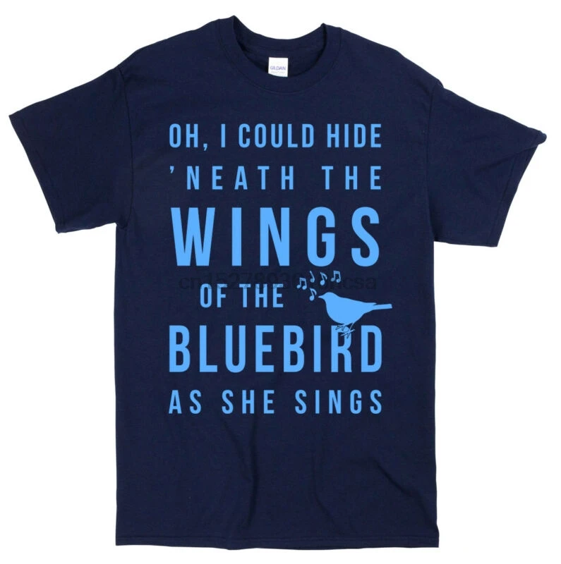 Monkees Daydream Believer Lyrics T-shirt - Retro Music 60s Song - Mens or Ladies Monkees Daydream Believer Lyrics T-shirt - Retro Music 60s Song - Mens or Ladies