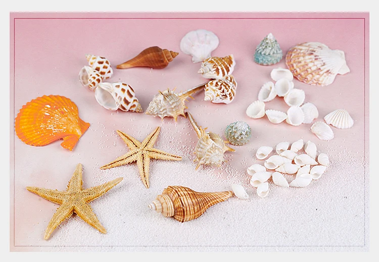 baby photography accessories