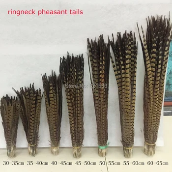 

100pcs/lot!55-60cm long Nature Ringneck Pheasant Tail Feather pheasant feather for Costume or Hat design