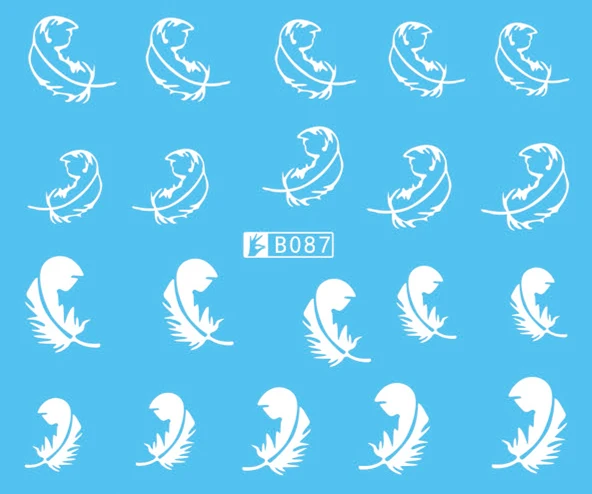 B087 
