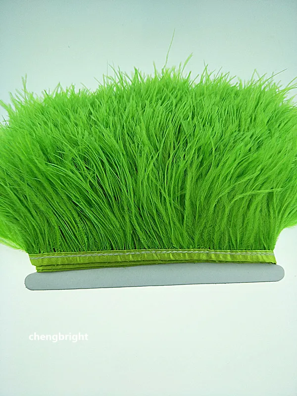fruit green 1_