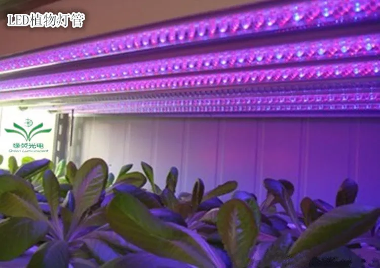 85 В-138 в T8 265 светодио дный LED grow light farms potted для растений Vegs гидропонная система Grow/Bloom красный + синий лампе светодио дный Led садоводство