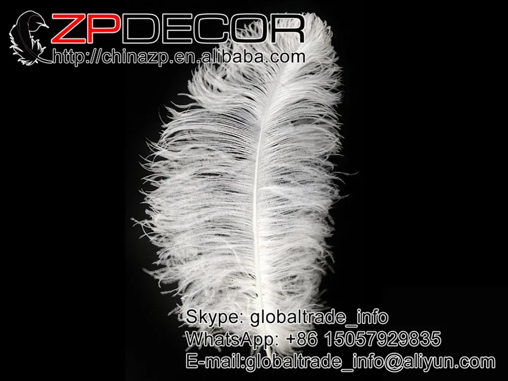 Huge Ostrich Plumes, 2 lb - 25-29 WHITE PRIME GRADE Large Wing Plumes Wholesale Feathers (bulk)24 (2)