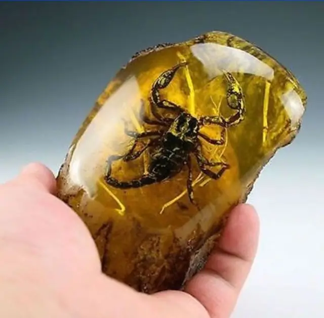 Collection Chinese Exquisite Handmade amber Crab statue 