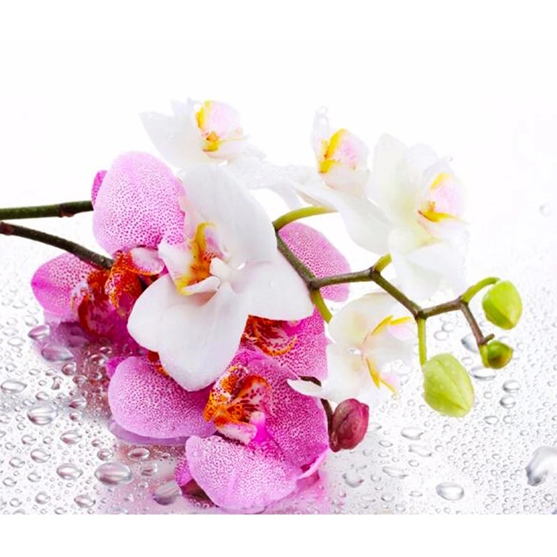 FlOWER FULL 3D diy diamond painting cross stitch diamond embroidery kits mosaic pattern picture resin drill home decor gift