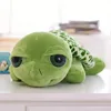 20CM Big Eyes Turtle Plush Toys Tortoise Animals Dolls ► Photo 3/6
