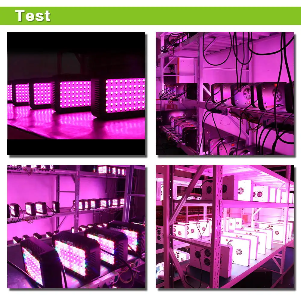 New Free shipping 300W LED Grow lights  Houseplant Grow tent Garden Greenhouse plant 5W  Epistar Flowers Herbs Full spectrum  (13)