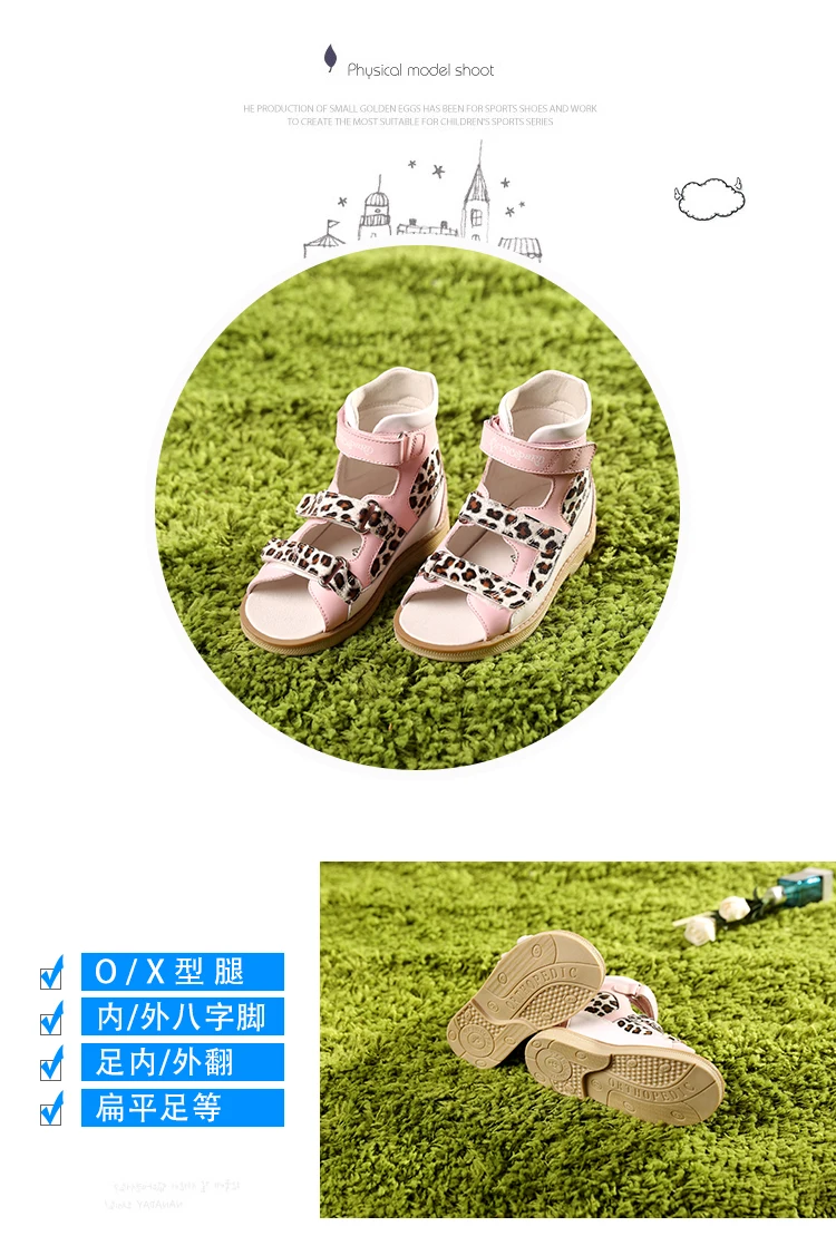 JH5202h53E_03