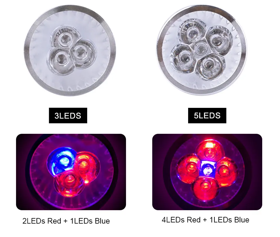 High Power LED Grow Light E27 Full Spectrum Fitolampy Indoor Grow lamp for Plants Flowers Seeds Grow Tent Box Replace Sunlight (11)