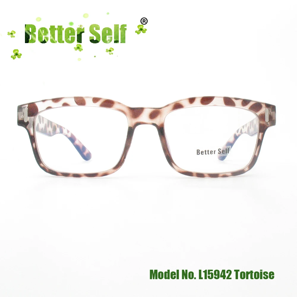 L15942-tortoise front