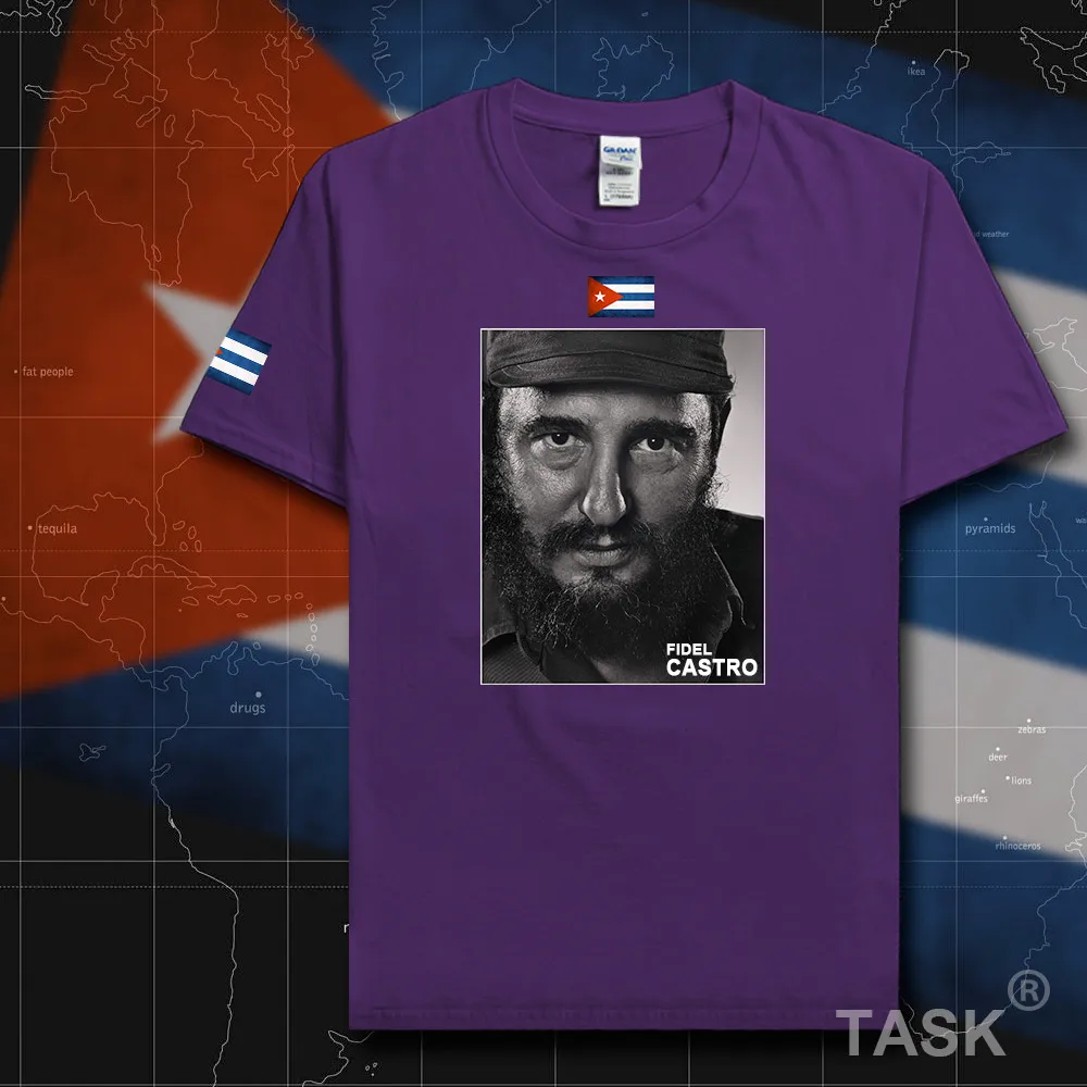 HSPE_Castro05_T01purple