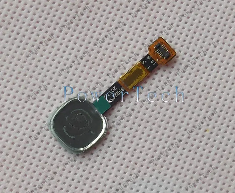 goldgoldzhiwen-3