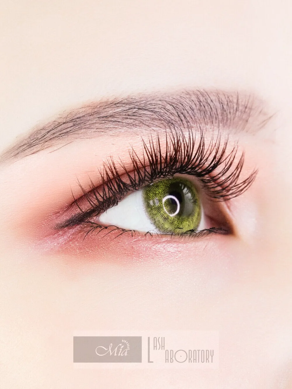 Extensão dos Cílios Permanente por Mia Chicote de Laboratório c d dd 8-15mm Mista Super Macio Lash X-wrap Cashmere Plana Semi 0.15 - 0.20 j b 25 Cílios postiços