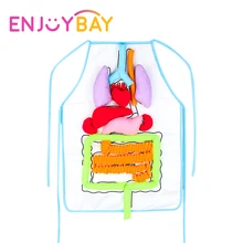 Enjoybay 3D Body Organ Plush Toy with Apron Viscera Teaching Utensil Body Organs Awareness Aids Early Educational Toy for Kid