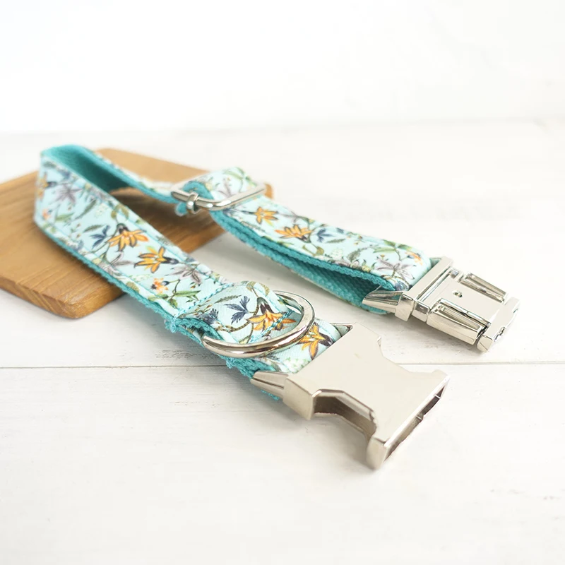 Dog Collar Turquoise (20)