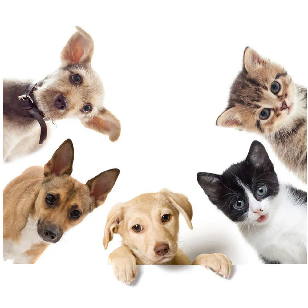 

Diy diamond Painting By Numbers Home Decoration Craft Unique Gift Picture Paint On Canvas Dog and cat family portrait H1049