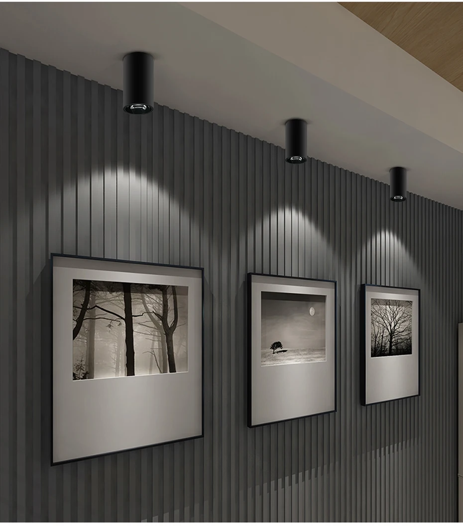 led surface downlights  (10)