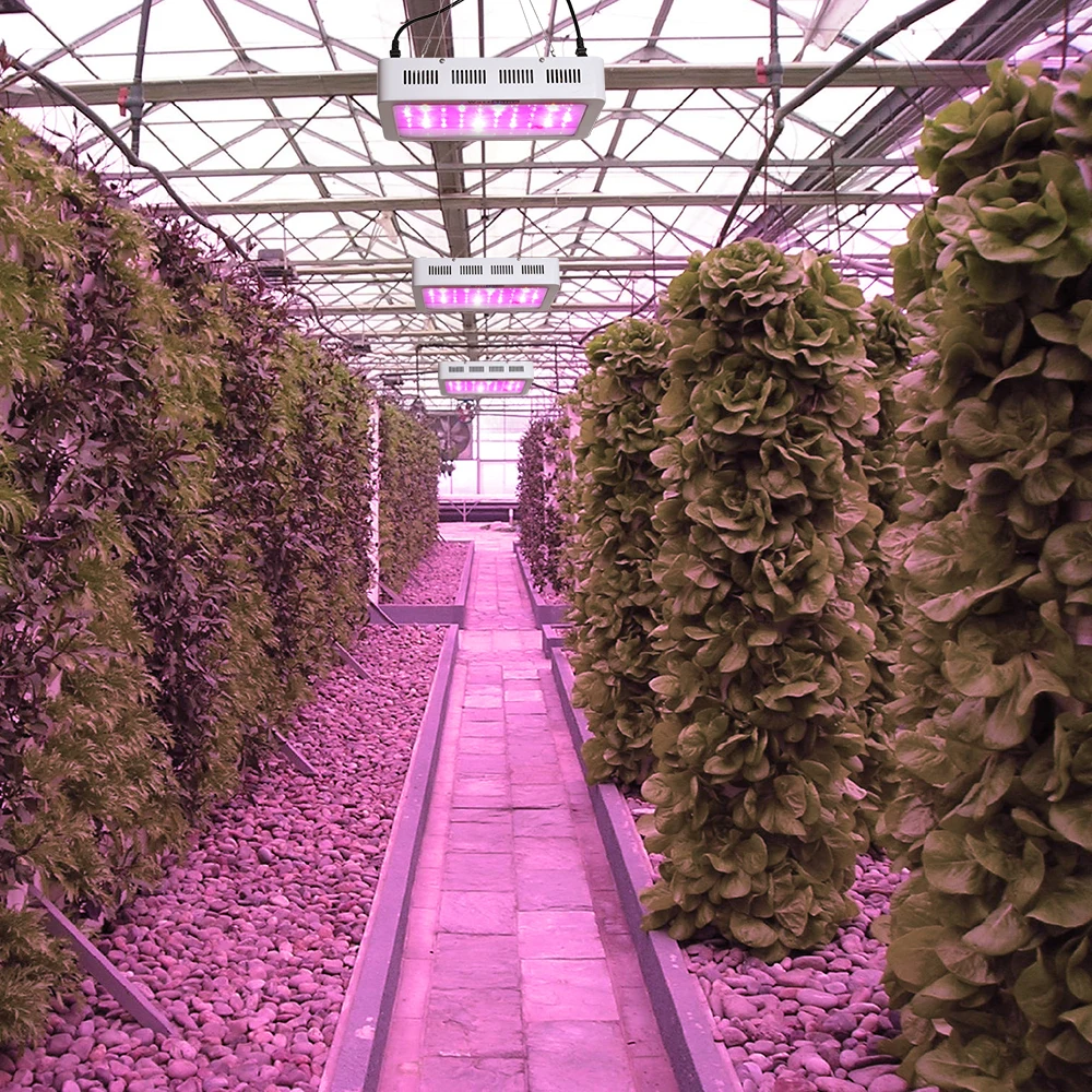 Dimmer 300W led grow light Double chips hydroponics lighting Full spectrum Herbs Flowers Medicine Veg Bloom Growth Greenhouse (9)
