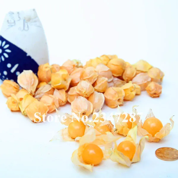 

Chinese lantern 2018 New Arrival Bonsai Organic Fruit Flore Home Garden 20 particles / bag Chinese Lantern Plant