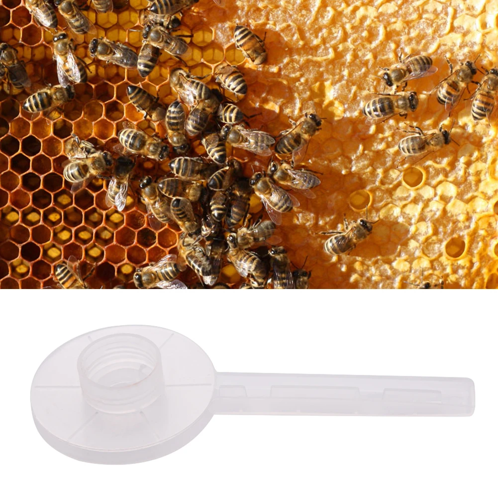 1 шт. пластиковый питатель пчел круговой пчелы питьевой фонтаны пчелы подачи для кормления воды пчеловодства инструменты пчеловода насадка для опрыскивания