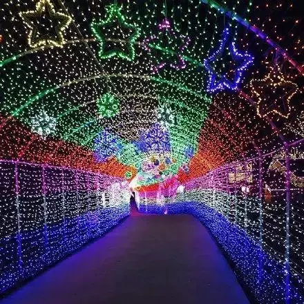DIP 100 LED 10m led String Decoration Light for Christmas Party Wedding Multicolour,Stars twinkle flash color changing led 220V DIP 100 LED 10m led String Decoration Light for Christmas Party Wedding Multicolour,Stars twinkle flash color changing led 220V