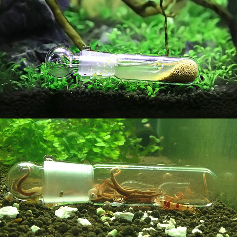 Ловушка для вредителей червей и креветок|aquarium aquarium|aquarium wormsaquarium shrimp |