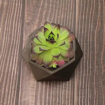 

Silicone Candle Soap Bottle Mold Succulent Planter Flower Pot Ashtray Resin Mold DIY tools