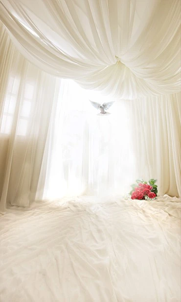 フィート長さ 5フィート7フィート幅白いカーテン窓白いベッドシートハト床の背景を背景3440 Photography Background Floor Backdropbackdrop Photography Aliexpress