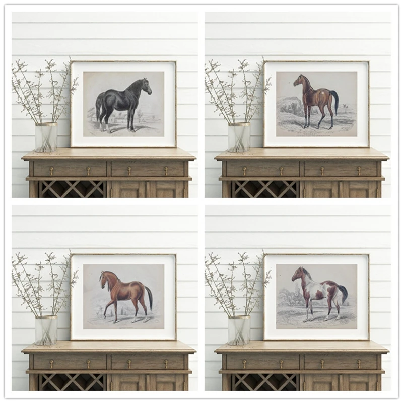 Vintage Drawings Of Horses Canvvas Painting