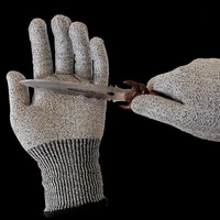 Garden Tools
