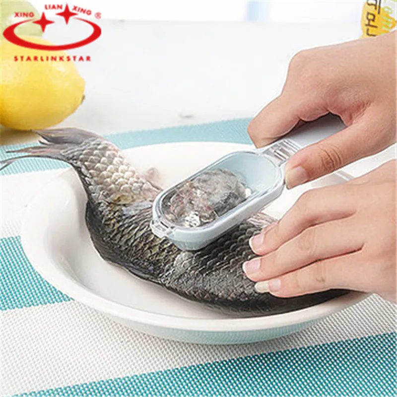 

Cooking tools kitchen tools fish Scale skin remover clean fish scales tools fishing fish cleaner pescaria peixes ferramentas