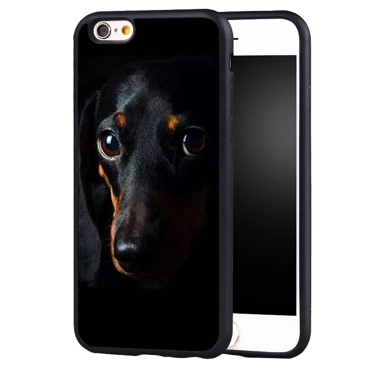 coque teckel iphone 5 coque teckel iphone 5