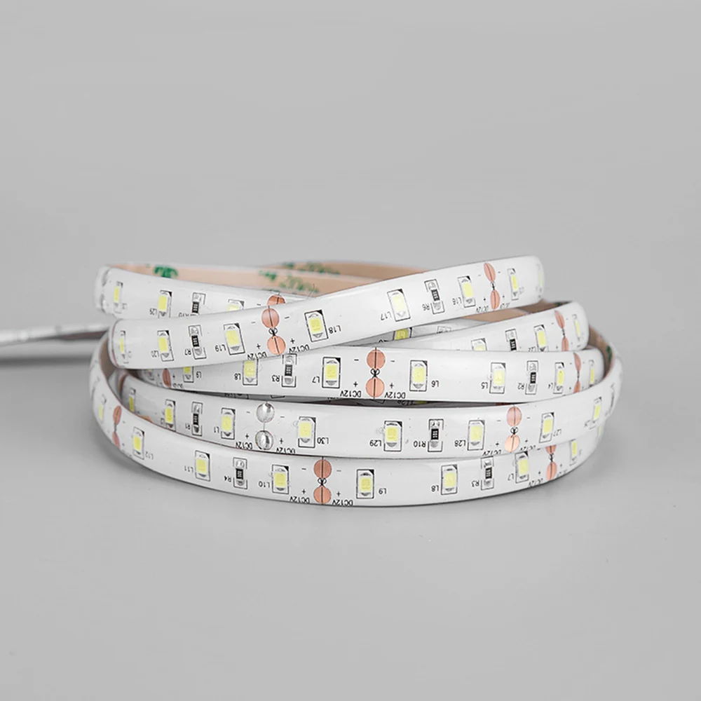 

2835/3528 RGB Led Flexible Tape Light Strip 12V Color Changing Light For Christmas And Home Decoration Red/g'r